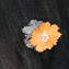 مشکی گل نارنجی