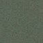 زیتونی