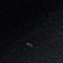 مشکی
