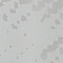 طوسی روشن