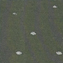سبز تیره