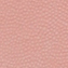 گلبهی