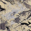 کرم/طوسی