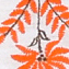 کرم-نارنجی