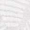 طوسی روشن